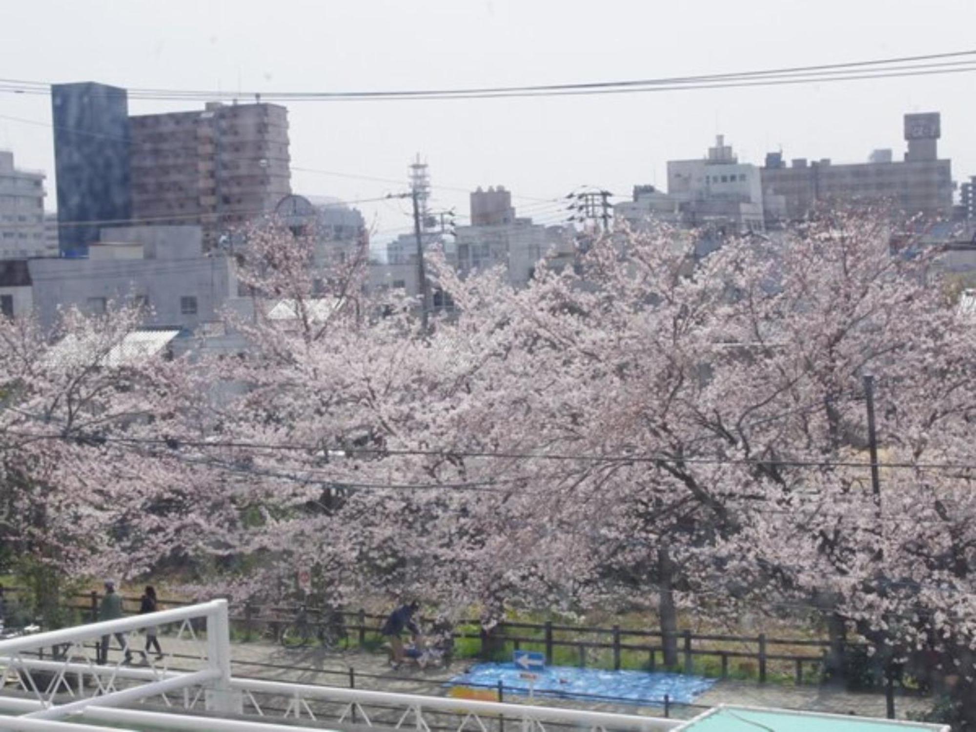 Tottori City Hotel / Vacation Stay 81355 מראה חיצוני תמונה